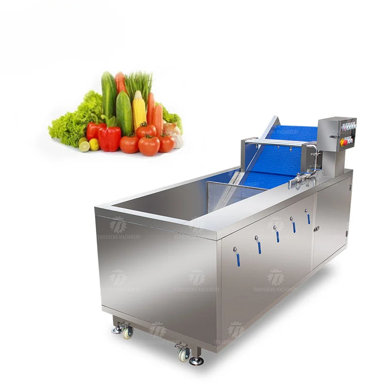 TS-200 Ozone disinfection vegetable washing machine Fruit and cleaning