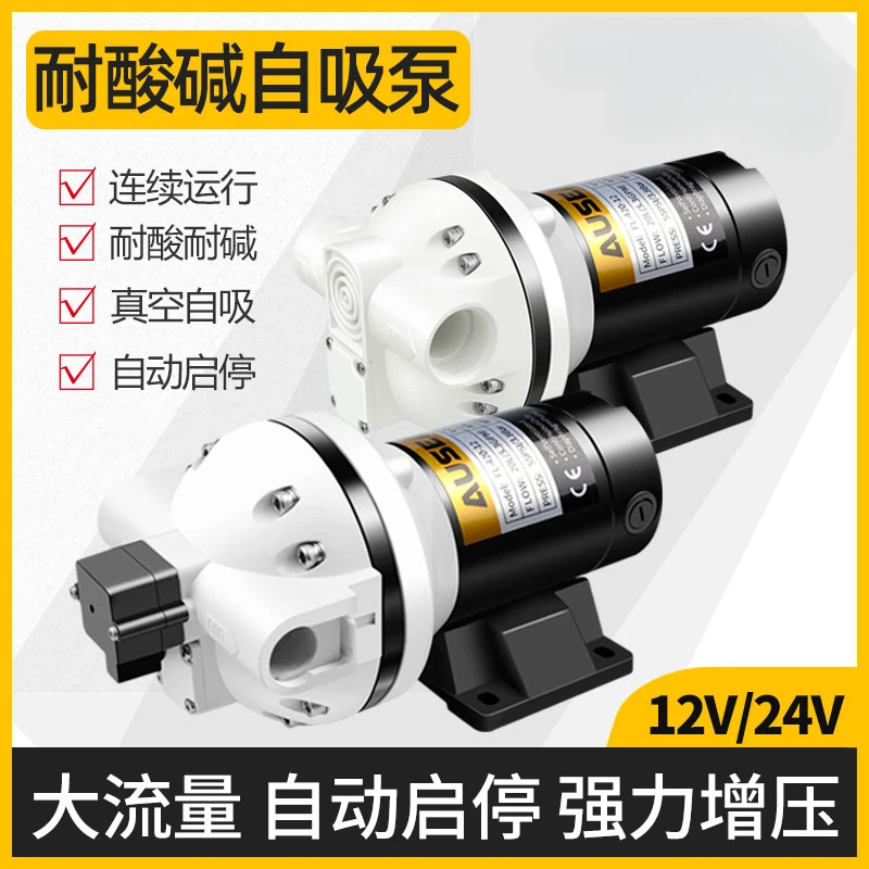 12V24V DC diaphragm pump acid and alkali corrosion resistant self-priming pump dosing filling pump