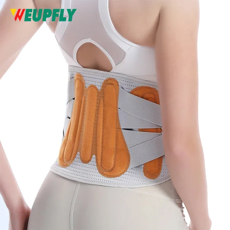 1PCS Back Brace, Back Support Belt with Adjustable Straps, Lumbar Support Belt for Men Women Herniated Disc,Sciatica,Scoliosis