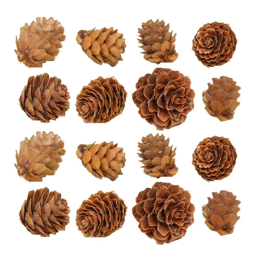 100 Pcs Songhwa Photo Props Christmas Pine Cone Decor Pinecone Ornaments Decorations Mini Wooden Holder