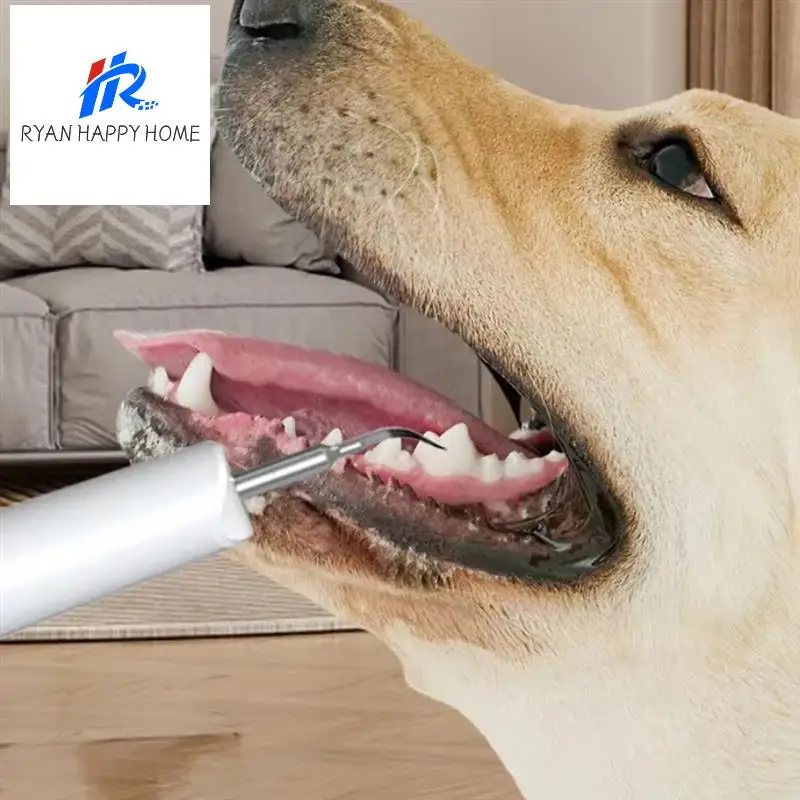 

Pets Real Ultrasonic Tooth Cleaner Usb Charging Tooth Cleaner Cats And Dogs Clean Mouth Tooth Cleaner