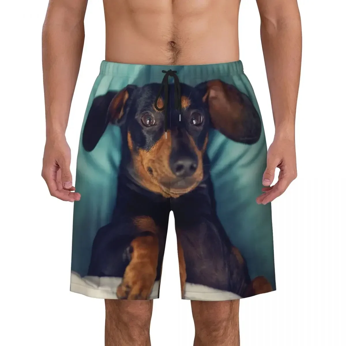 Dachshund Print Men's Swim Trunks Quick Dry Beachwear Beach Board Shorts Badger Sausage the Wiener Dog Boardshorts