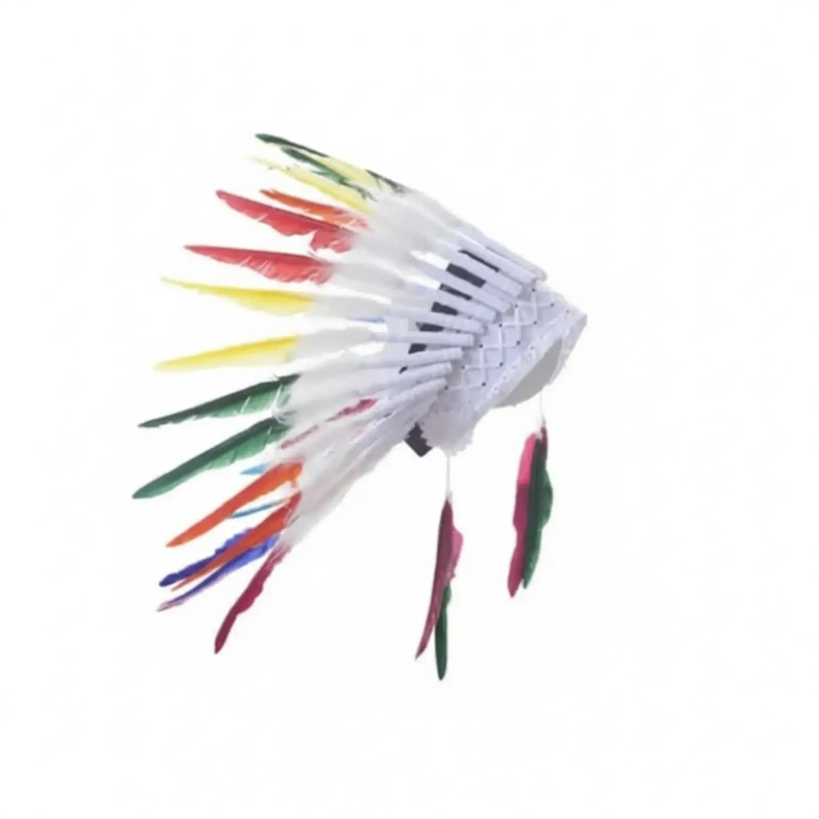 coiffe-en-plumes-coiffe-en-plumes-qui-attire-l'attention-coiffe-spectaculaire-avec
