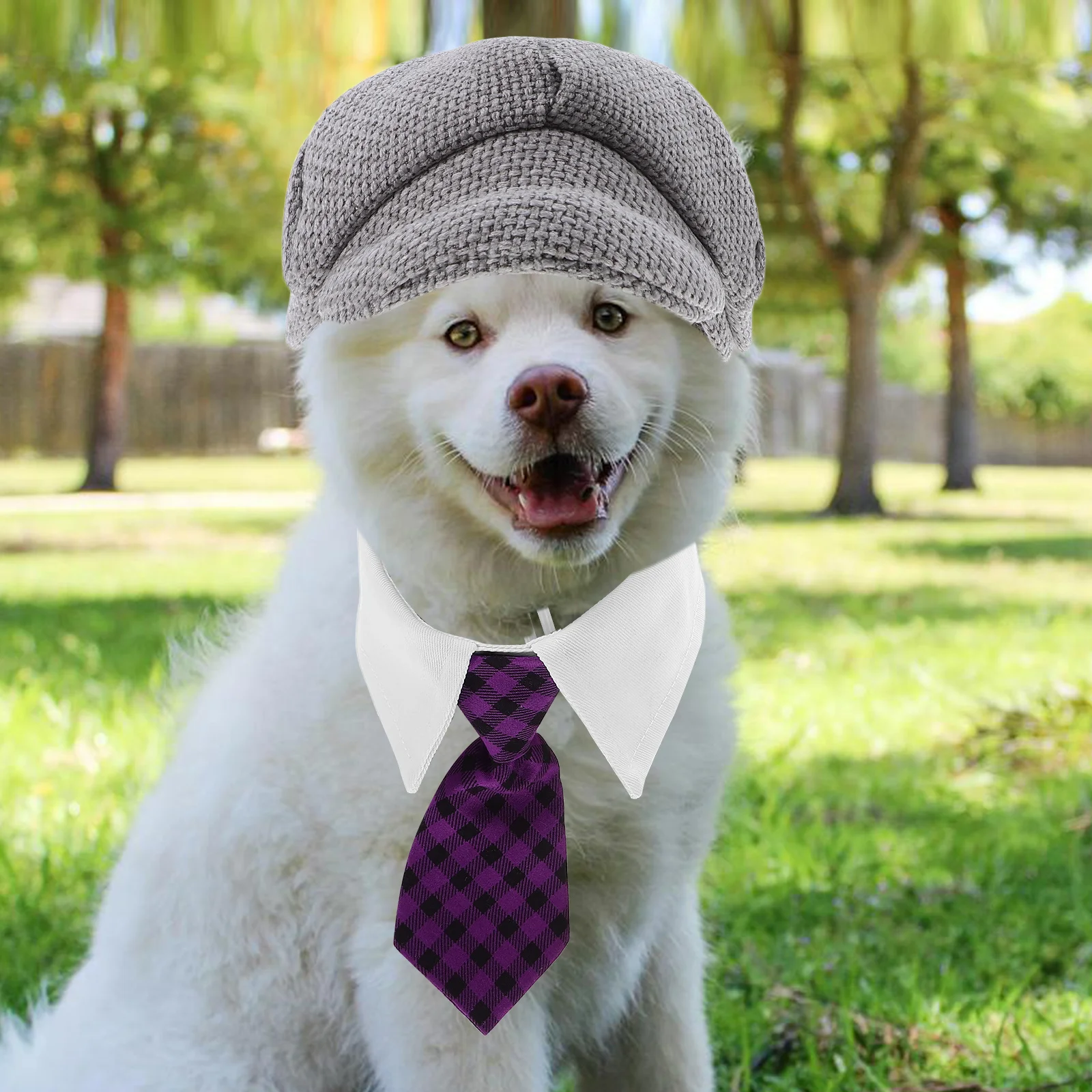 

1Set Pet Beret Hat Bowtie French Artist Beret Small Dog Cat Birthday Holiday Photo Prop Warm Pet Hat Costume Kit