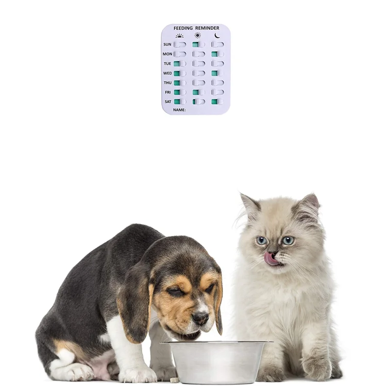 

P4-1 PCS Dog Feeding Reminder White ABS Pet Supplies Magnetic Or Double Sided Adhesive Application, Reminder To Feeding Of Pets