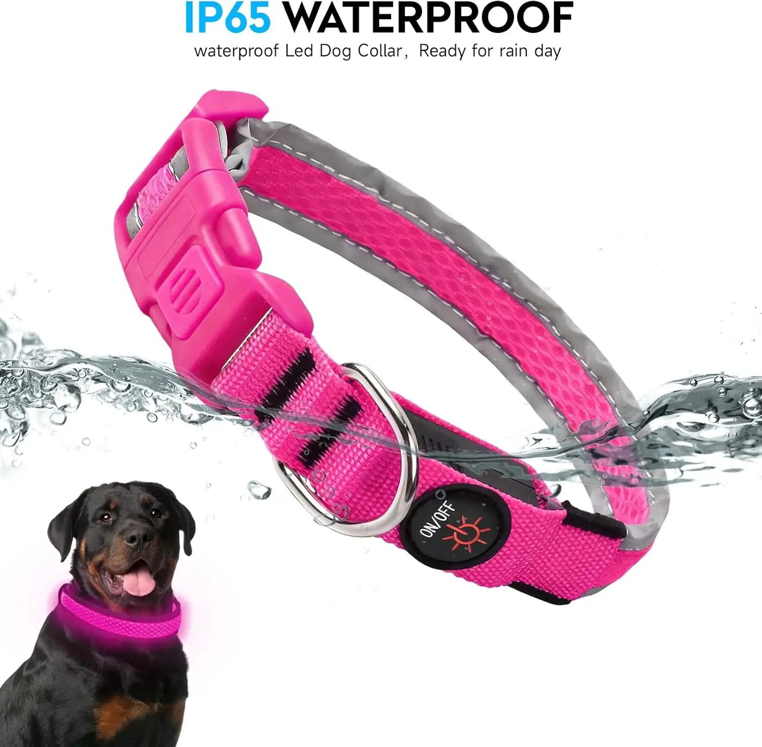 Thumbnail 3 - #48 Best Adjustable Pet Collars to Buy In 2026