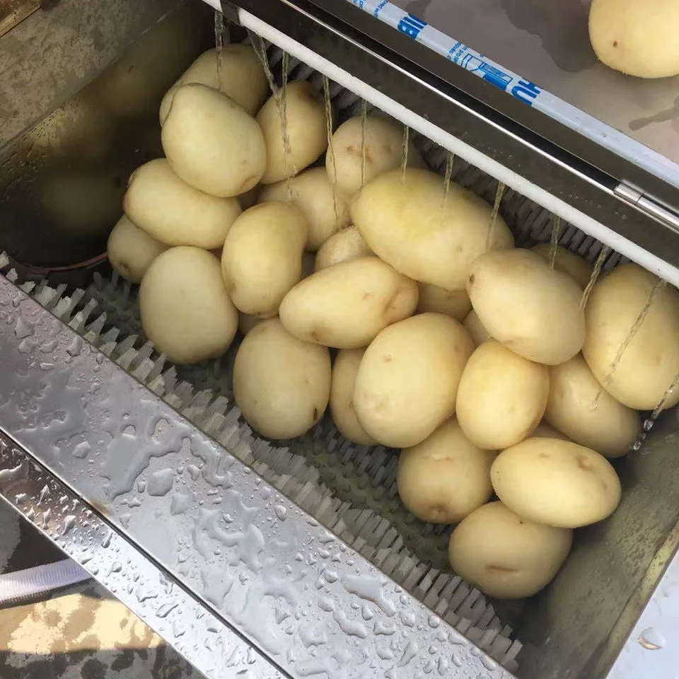 High Efficiency Fruit and Vegetable Potatoes Washer Cleaning Peeling Machine