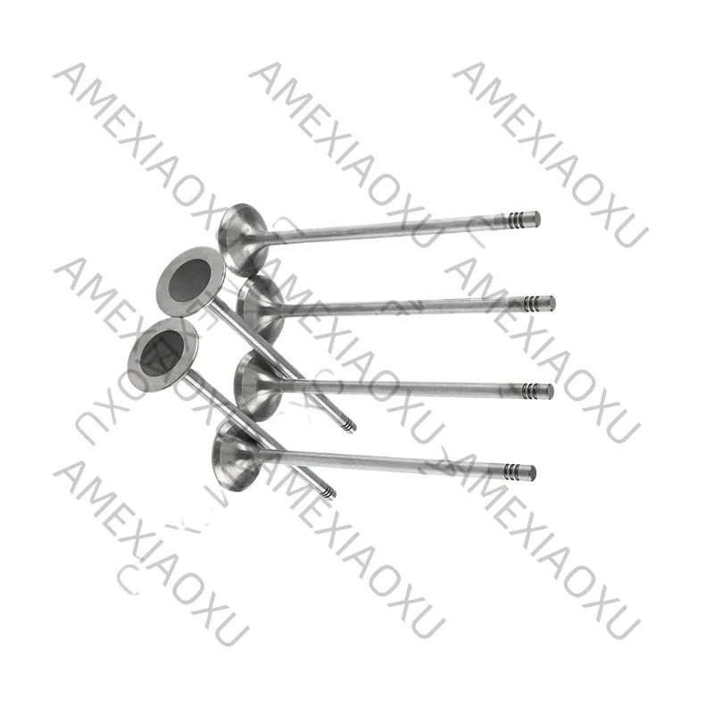 6Pcs AMEXIAOXU 022109601F Suitable for Volkswagen Phaeton Audi A8 6.0L engine intake valve, long