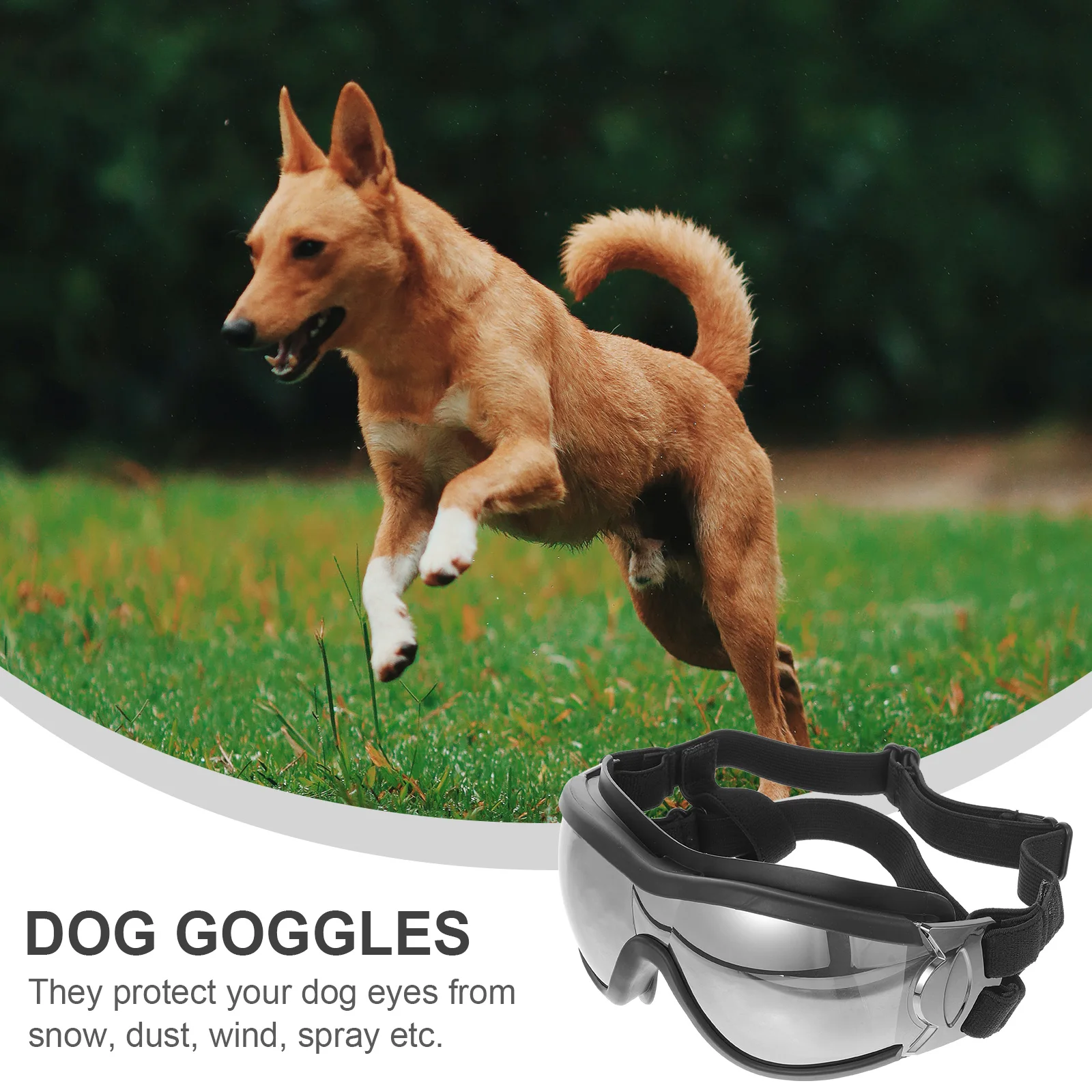

Windproof Pet Goggles Eye Protective Glasses Anti-UV Eye Goggles Creative Eyewear for Dog Puppy (Black)