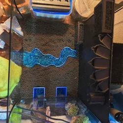 GRAVEL DIVIDER Fish Tank Decor for Aquariums & Terrariums Aquarium cave