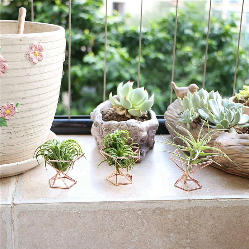 AT05-Pack 10 حامل نباتات هوائية حامل نباتات الهواء Tillandsias عرض حاوية نباتية لتنقية الهواء حامل السرخس الهوائي، ذهبي وردي