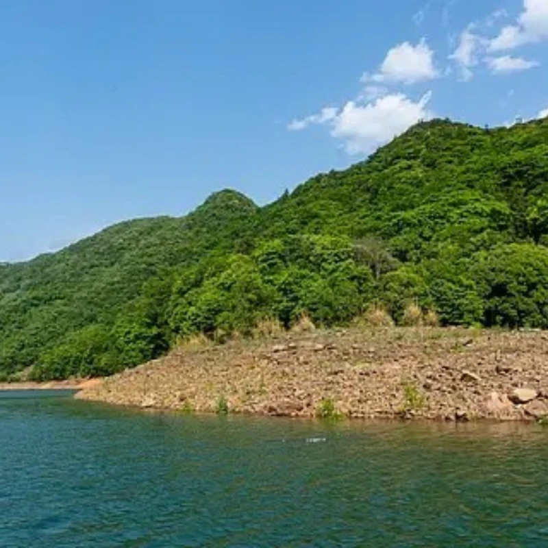 

IFlight IPower Motor GM8112 90T Brushless Gimbal Motor 22mm Hollow Shaft With AS5048A Coder Compatible for 5-6kg Camera