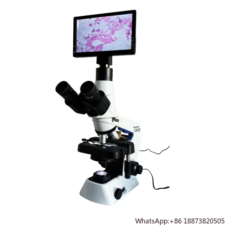 

Digital Biological Binocular Microscopes Cx23 Olympus Trinocular Microscope With Screen