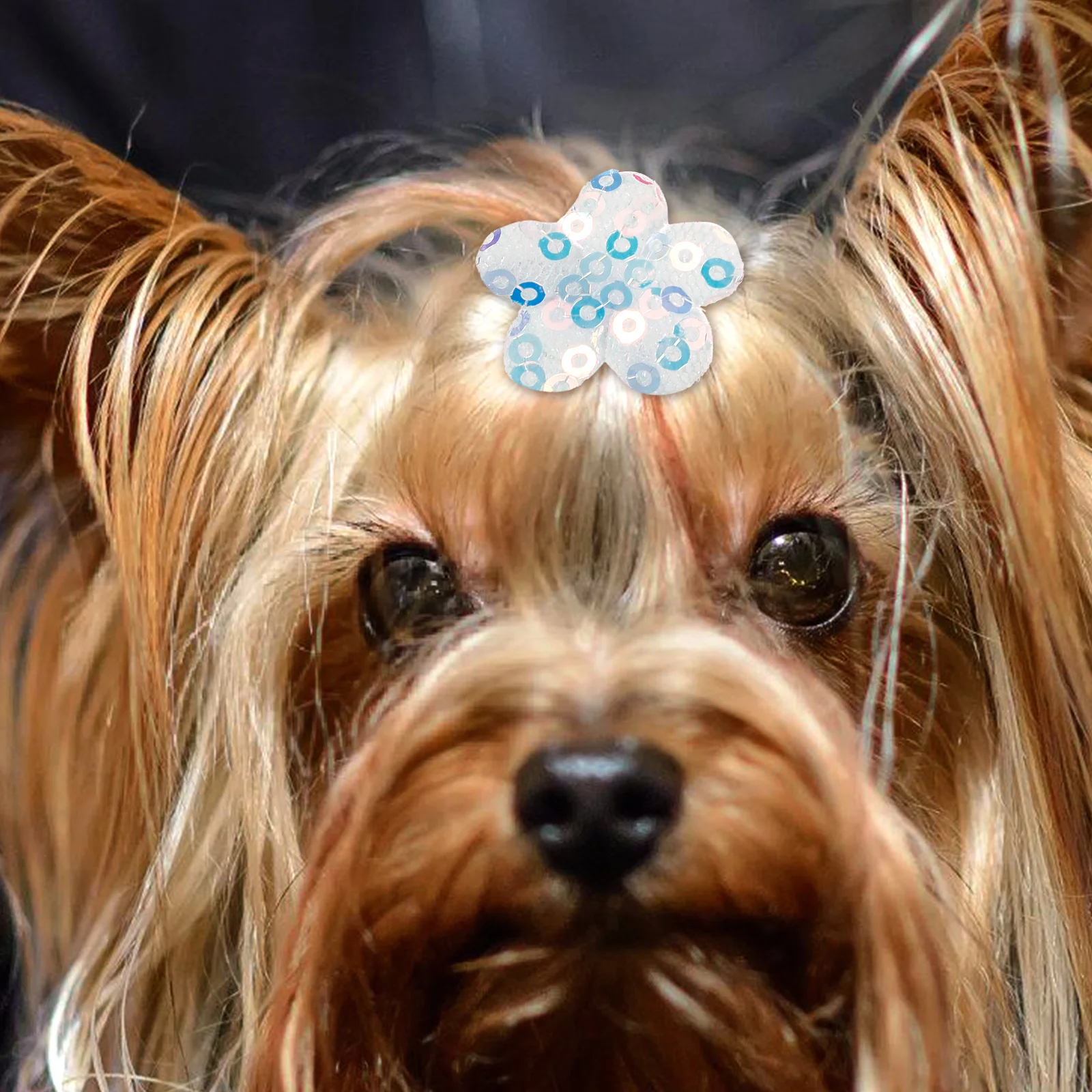 

10pcs Pet Hair Accessories Dog Ties Small Dogs Decoration Bows Elastic Bands Grooming Loop Rabbit Pomeranian