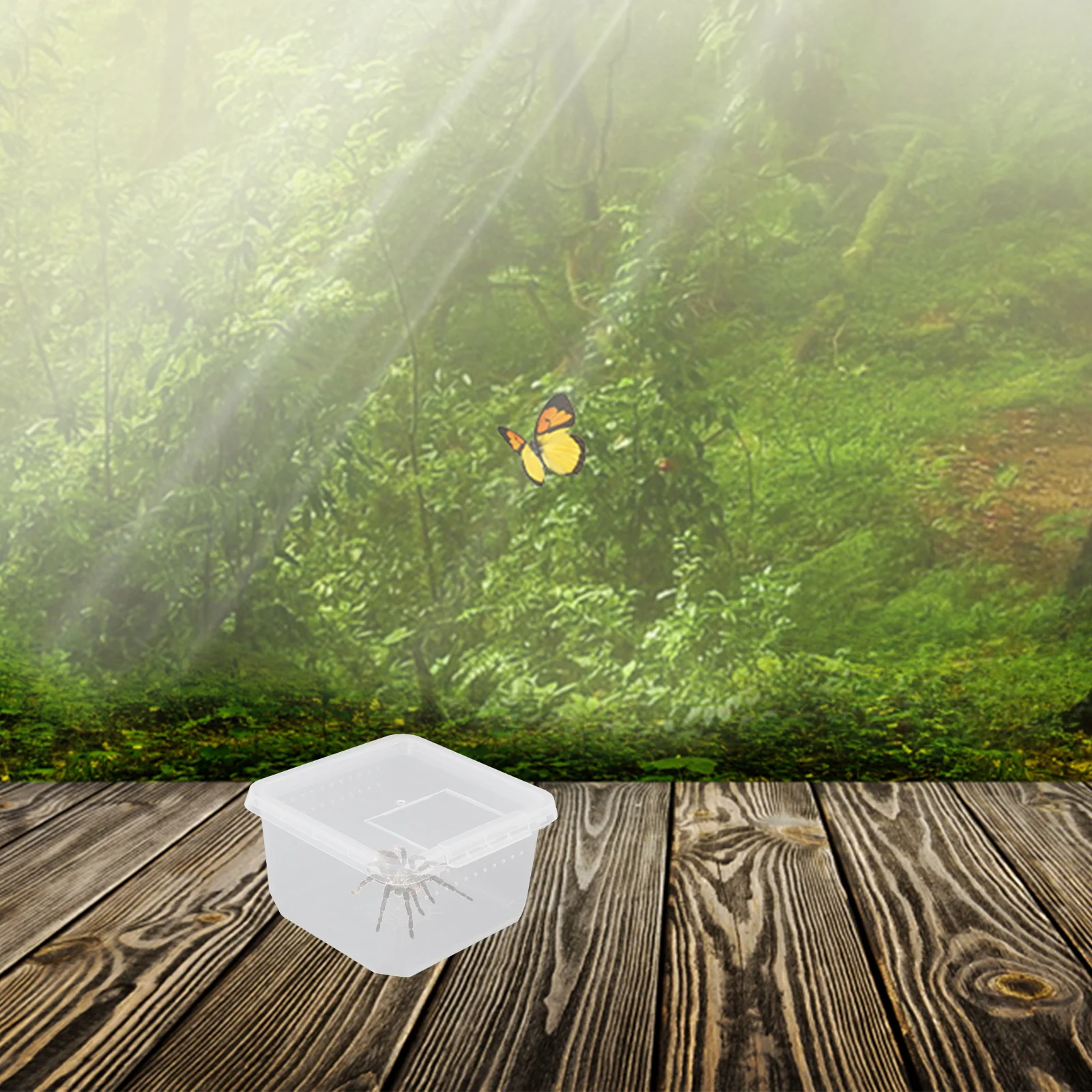 

Transparent Lightweight Feeding Box With Air Holes Breeding Container For Spiders Cockroaches Beetles Snails Hermit