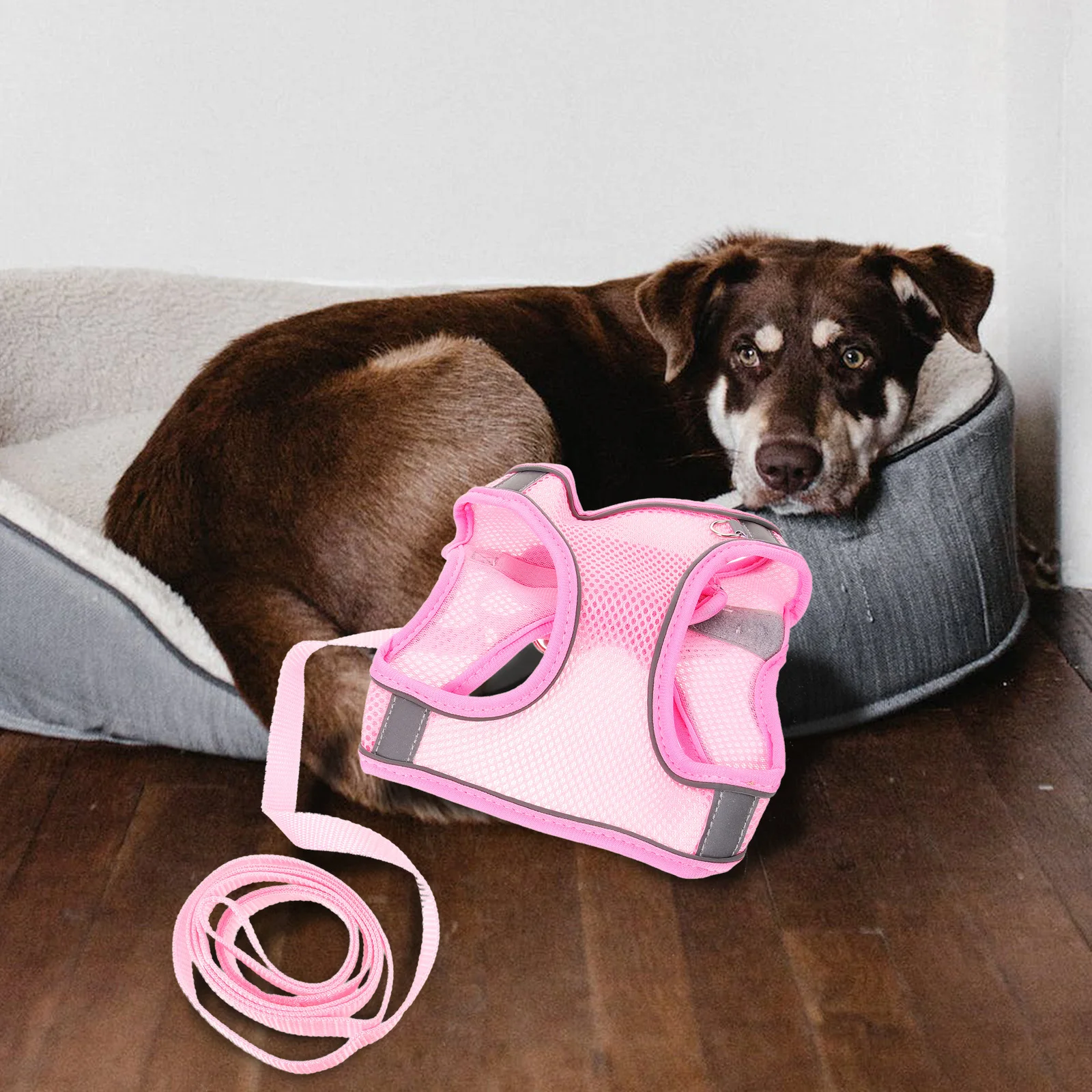 

1 set Pet And Dog Breathable Pet With Leash Harness Pink L Summer Training Leash Dog Harness Set Durable Material