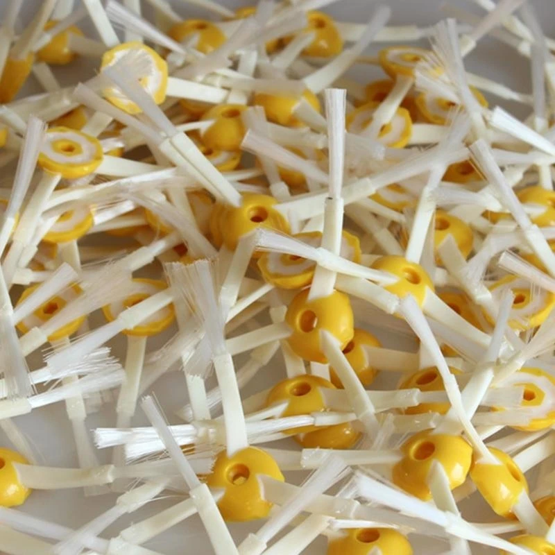 I-robot for Roomba 600 700シリーズ真空クレア用に3装甲交換サイドブラシ3-arme