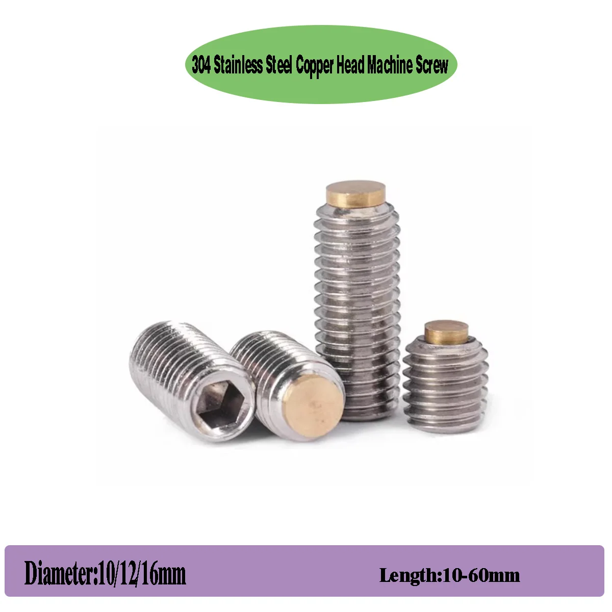 

304 Stainless Steel Copper Head Machine Screw/Brass Convex End Screw/Copper Head Plunger Buffer Bolt M12-M16