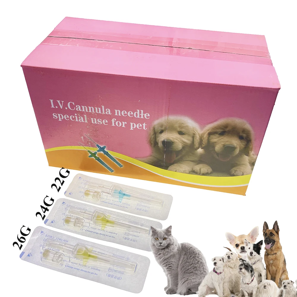 Pet Cat Dog Animals IV Cannulas With Heparin Cap Introcan Winged Sheath Place An Catheter Access Indwelling In Vein Disposable