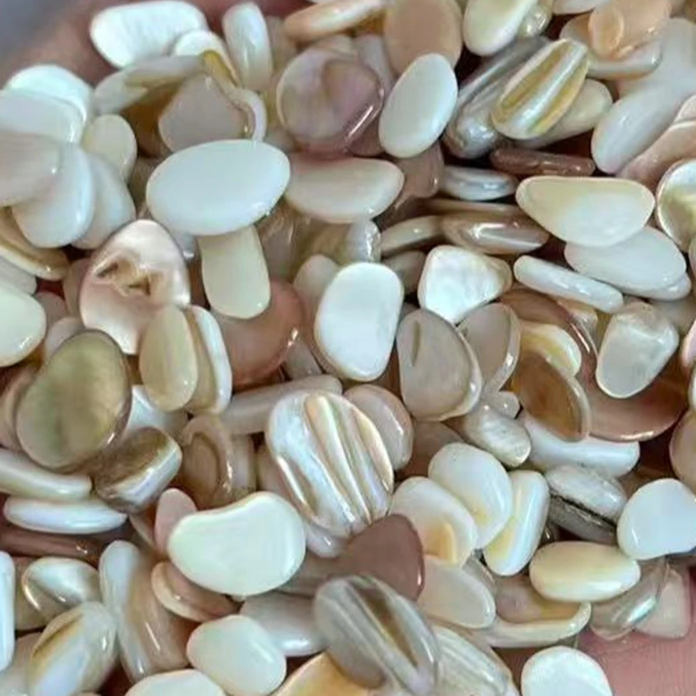 50pcs 4-7mm Not Drilled Natural Beige White Mother of Pearl Shell Chip Mosaic Pendant Jewelry Making DIY Aquarium Sand‌
