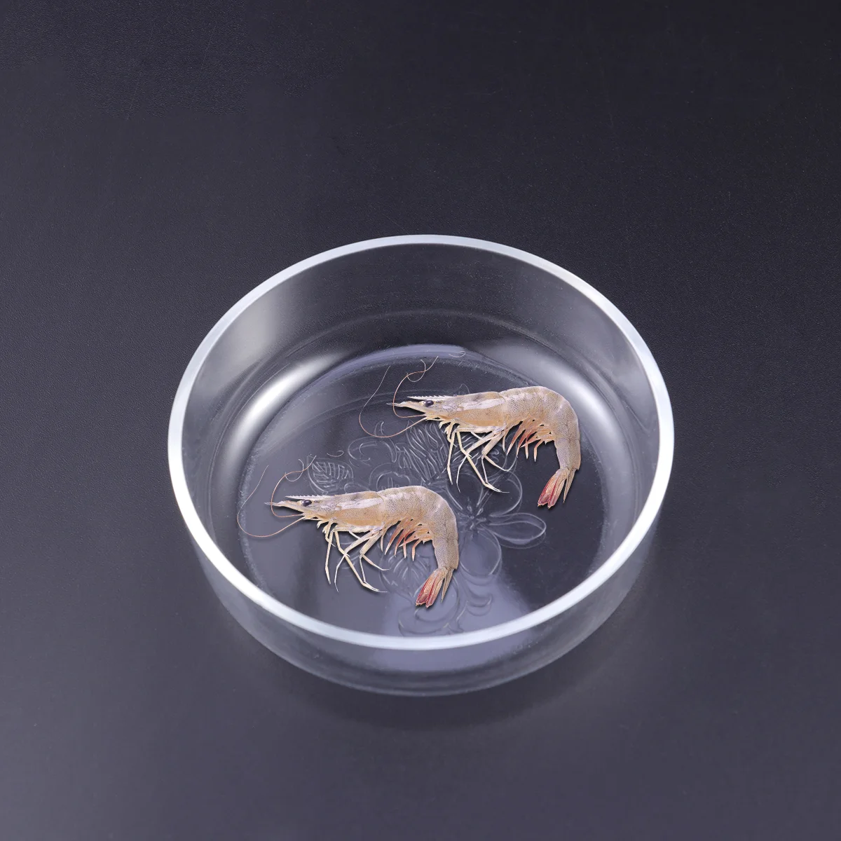 Pet Feeding Bowl Transparent Shrimp Food Acrylic Dishes Carved Flower Shrimp Feeding Bowl Ornamental Pet Supplies