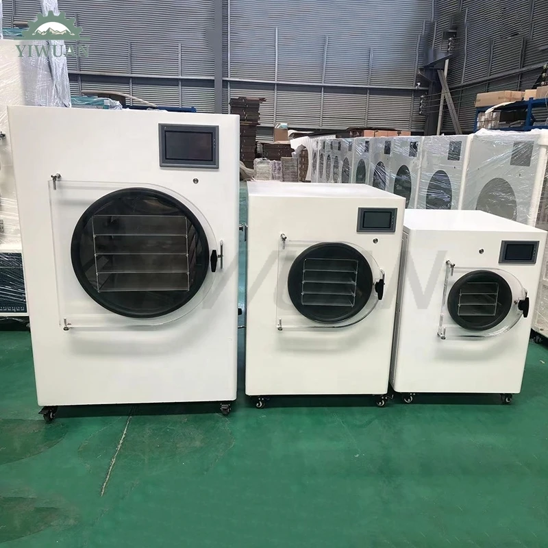 Quick Drying Commercial Laboratory Lab Small Freeze Dryer Home For Sale Thailand In Stock