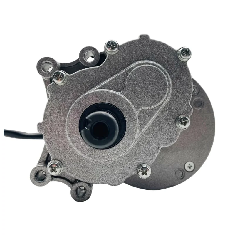 

24V250W DC Brushed Low-Speed 2-Speed Reduction Wheelchair Motor (120/75 RPM)
