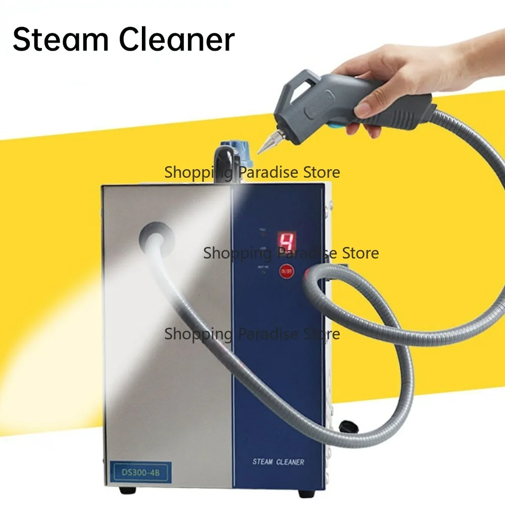Professional 2600W Handheld Steam Cleaner Jewelry Cleaning Machine with Handle Switch Control 3L Capacity for Home Use