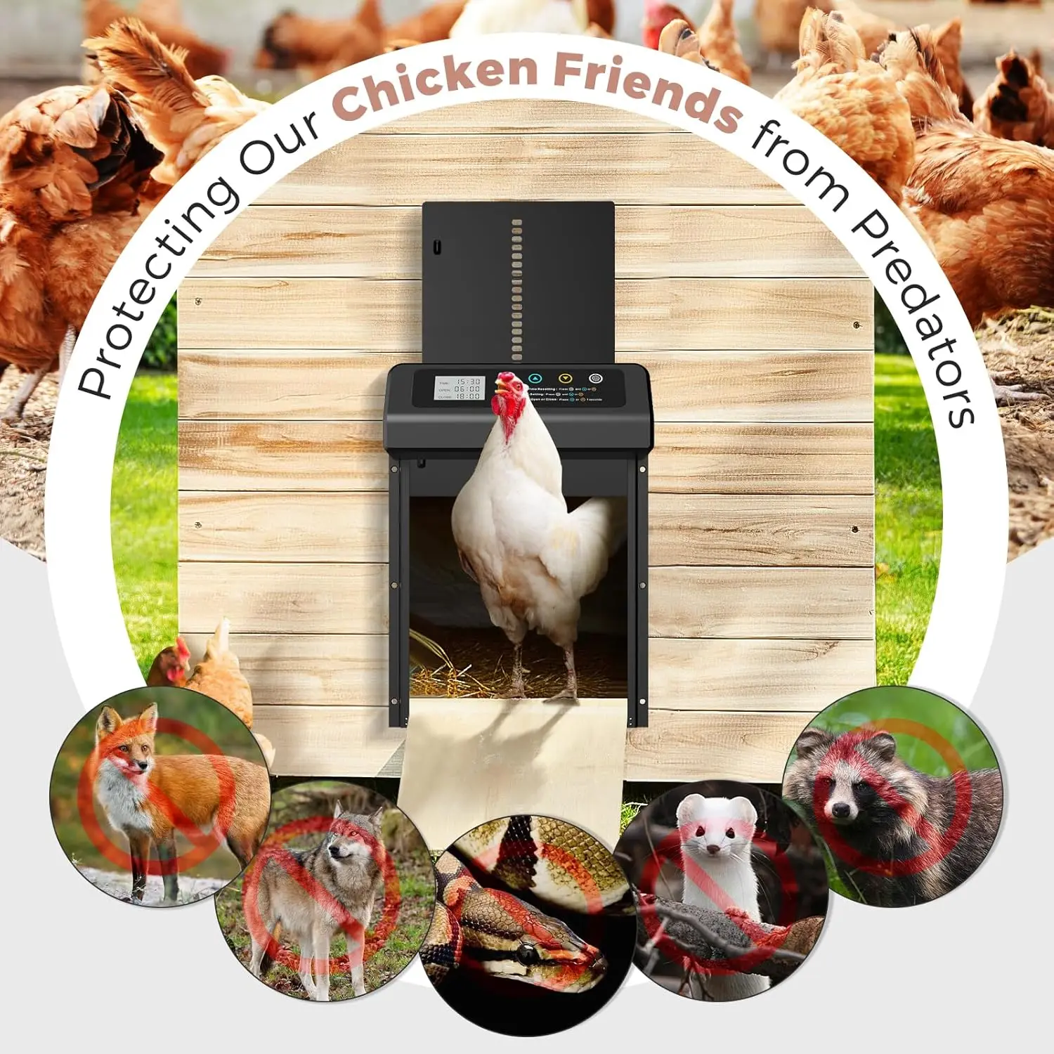 タイマー付き自動鶏ドア、挟み込み防止、耐久性のあるアルミニウム製自動鶏ドア (ブラック)