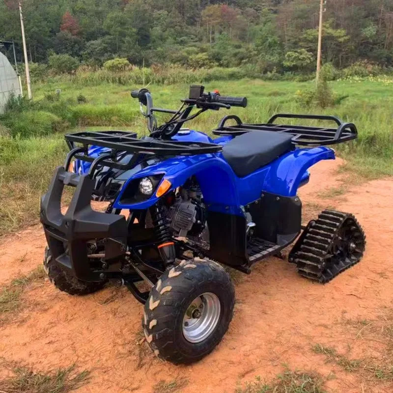 

Пляжный автомобиль с 2WD приводом вала, снежная гусеница, мотоцикл, снегоход, лыжный автомобиль, горный внедорожник