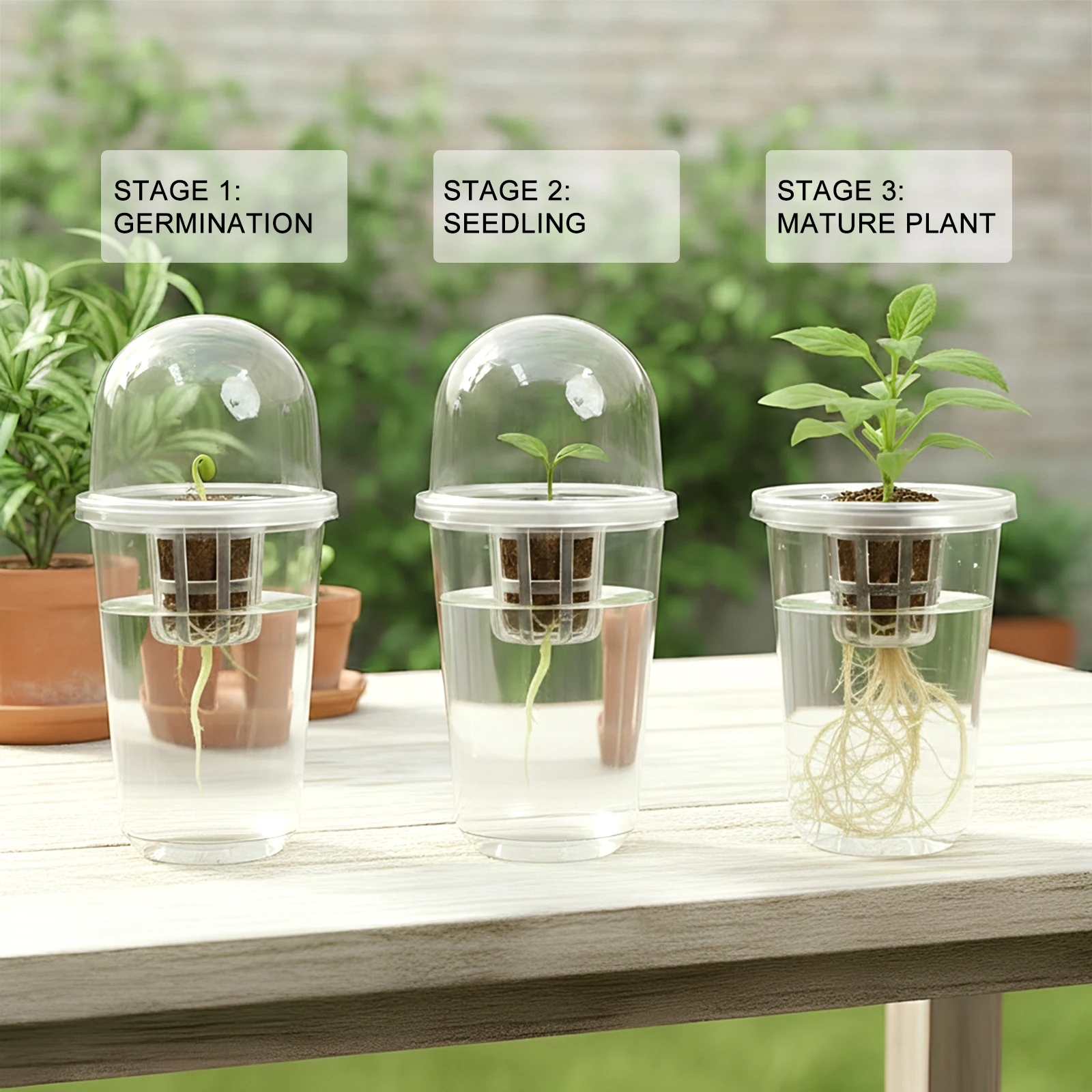 Transparent Cylindrical Plastic Hydroponic Planting Kit, Hydroponic Seed Pot, for Visible Root Growth Observation