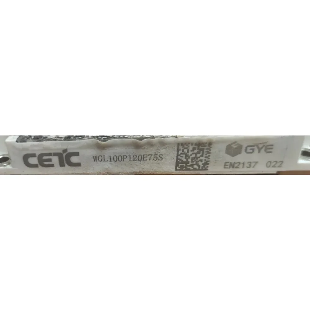 WGL100P120E75S New Original  Module