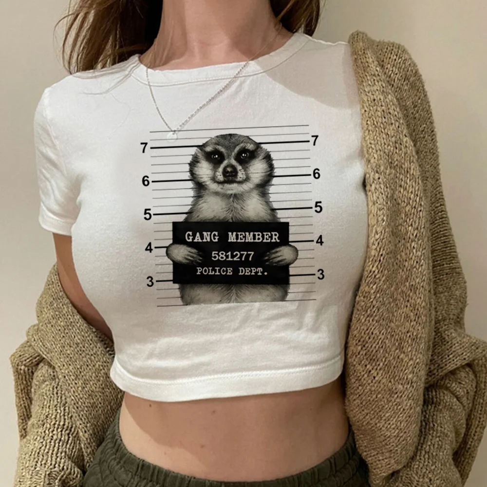 Meerkat streetwear  vintage fairy grunge  crop top girl aesthetic cyber y2k 90s clothes