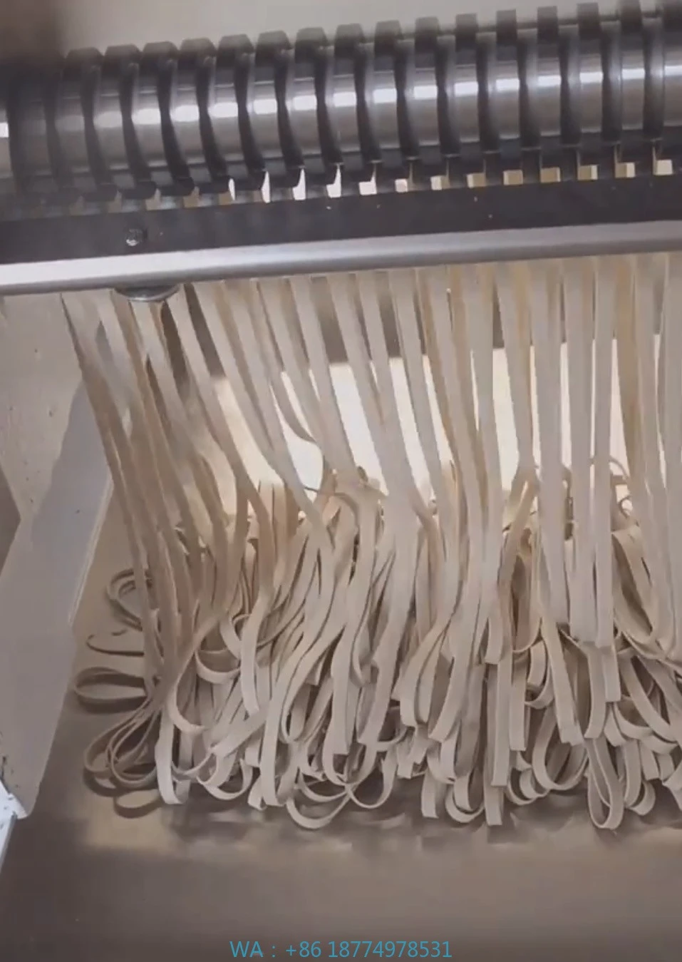 آلة القطع الكهربائية، آلة المعكرونة منتجات شراء بالجملة