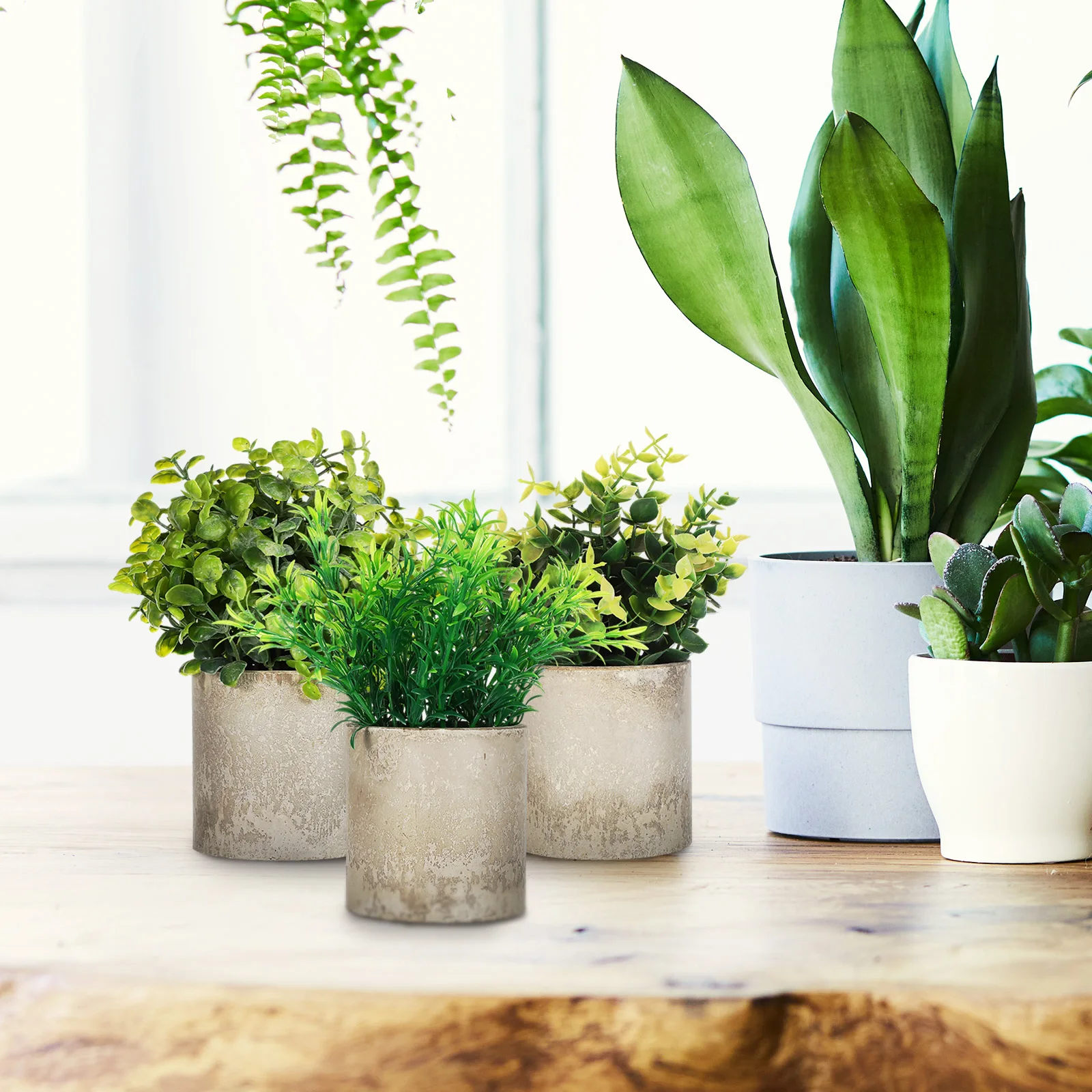 

3 Pcs Decorative Artificial Plants Desktop Potted Realistic Faux Small Fake Succulent