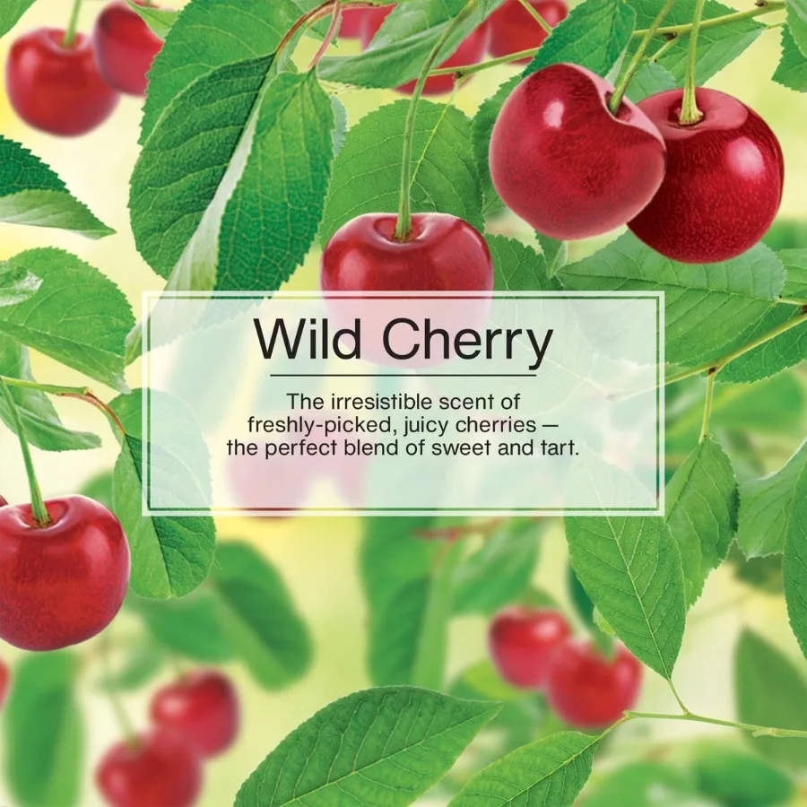 4pk Vent Wrap Wild Cherry Air Freshener