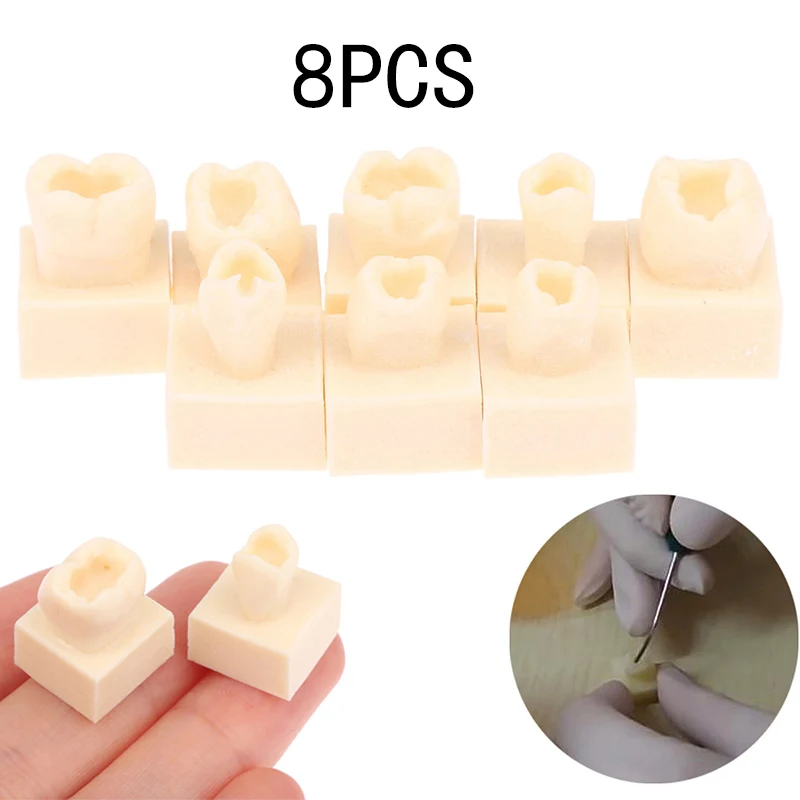 8pcs Dental Resin Filling Practice Model Dental Form Stacked Tooth Filling Practice Model Front Teeth and Rear Teeth Model