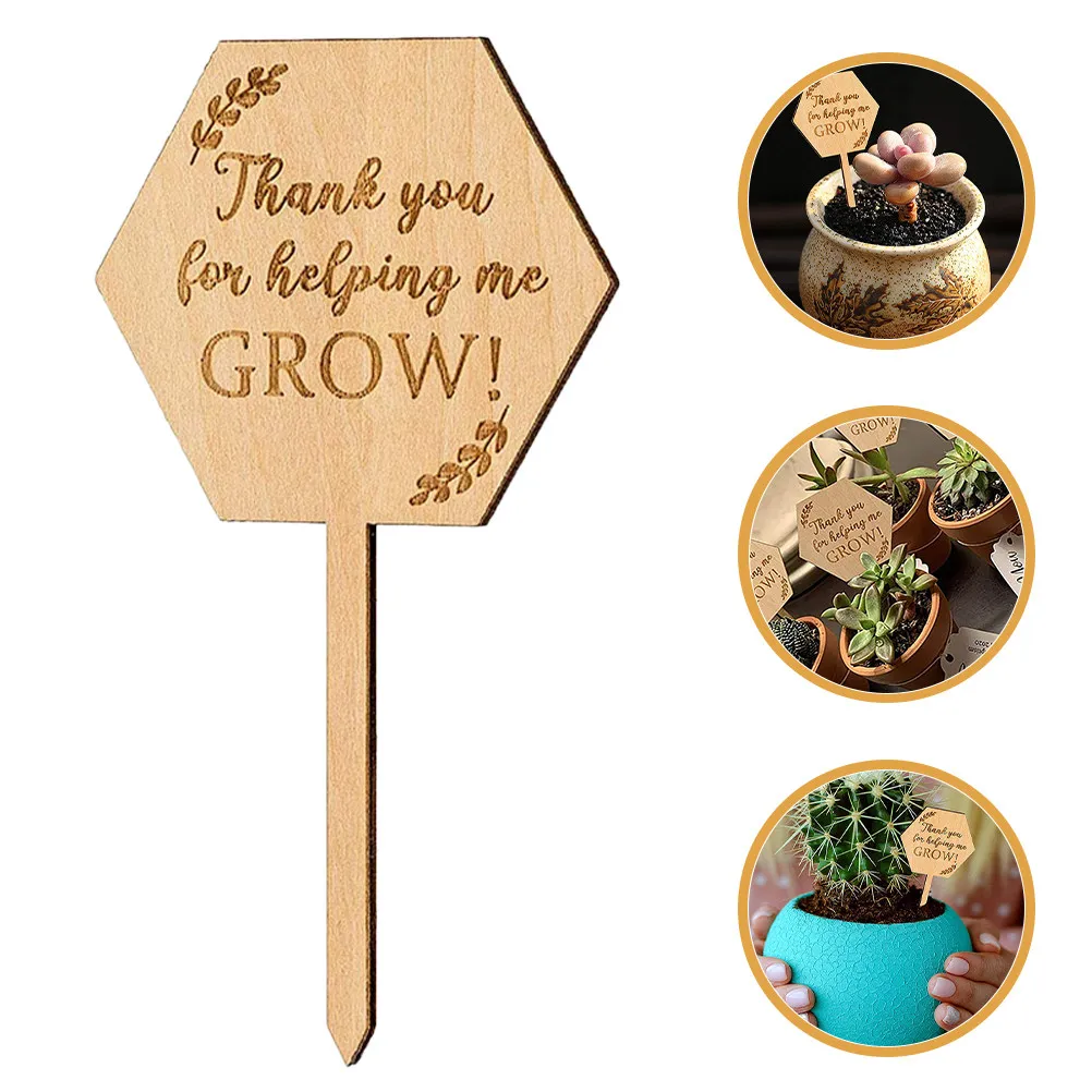 

20Pcs Wood Plant Markers Garden Labels Succulent Name Tags Flower Bed Planter Nursery Garden Plant Accessory Indoor Outdoor