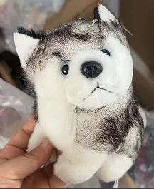 Animal Doll Cute Dog Husky baby Soft Plush Toys Birthday Gift 12cm