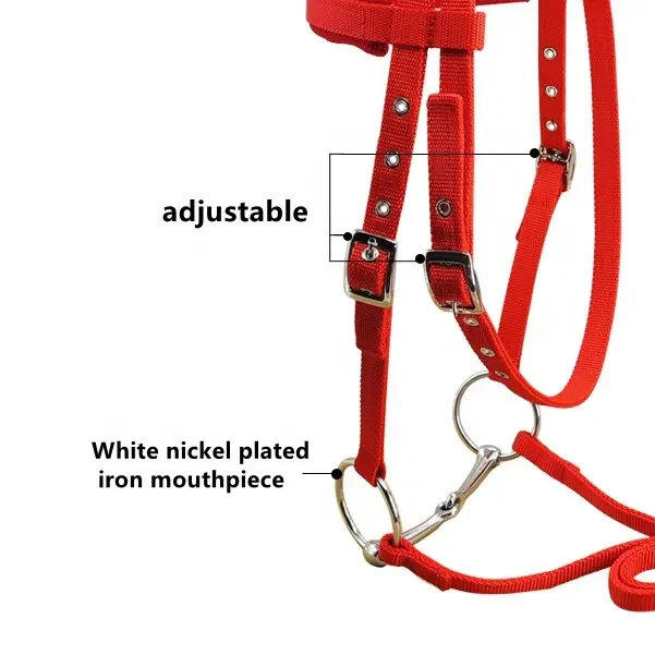 PP Webbing Horse Bridle مع Rein، وسادة من الصوف القطبي + لقمة Snaffle الثابتة #4