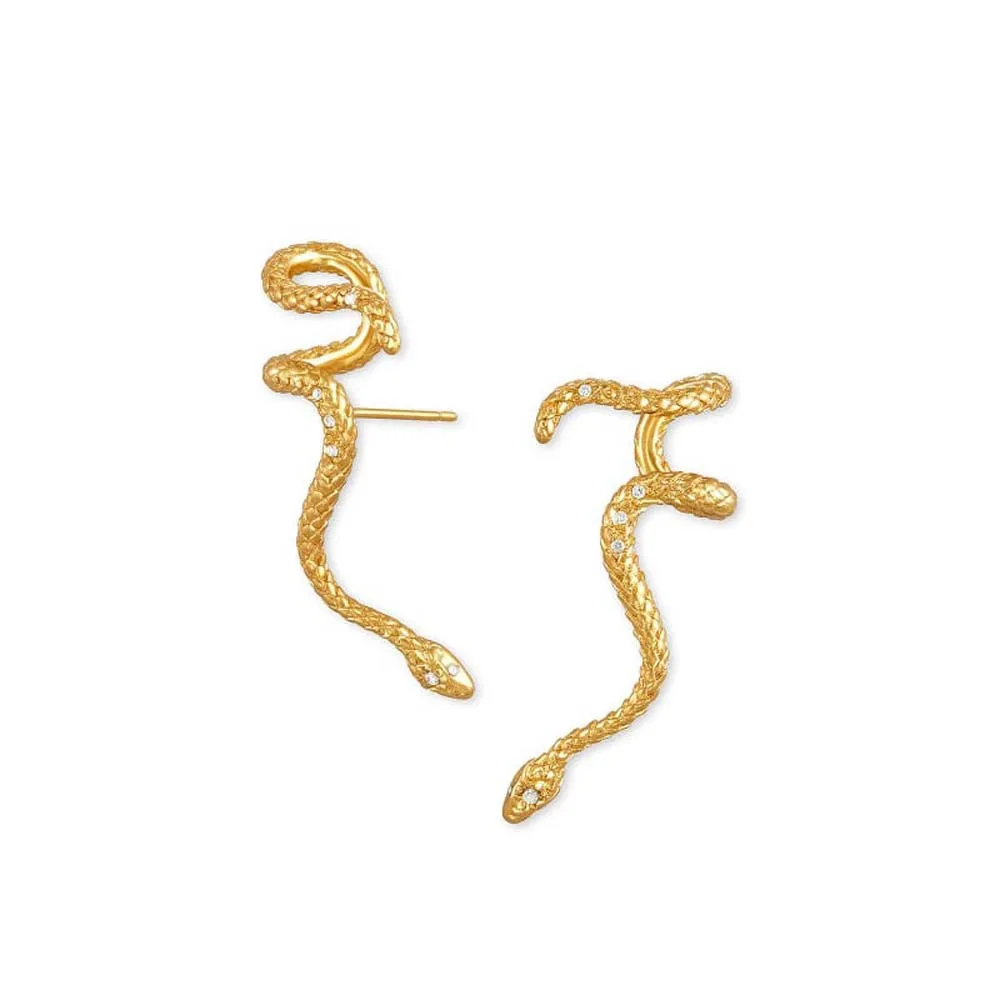 2022 New Style Punk Studs Earrings Snake Shaped Gold Color Earrings for Women Personality Creatiive Animal Fashion Ear Jewelry