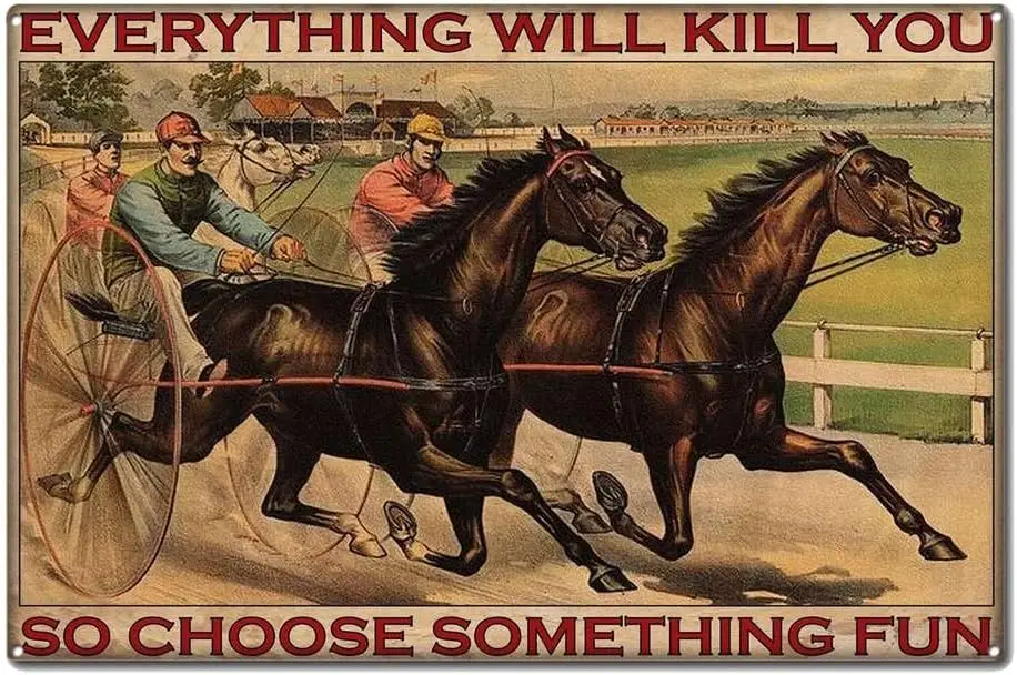 Tin Signs Vintage Funny Harness Racing Everything Will Kill You So Choose Something Fun Home Living Decor Metal Sign for Kitchen