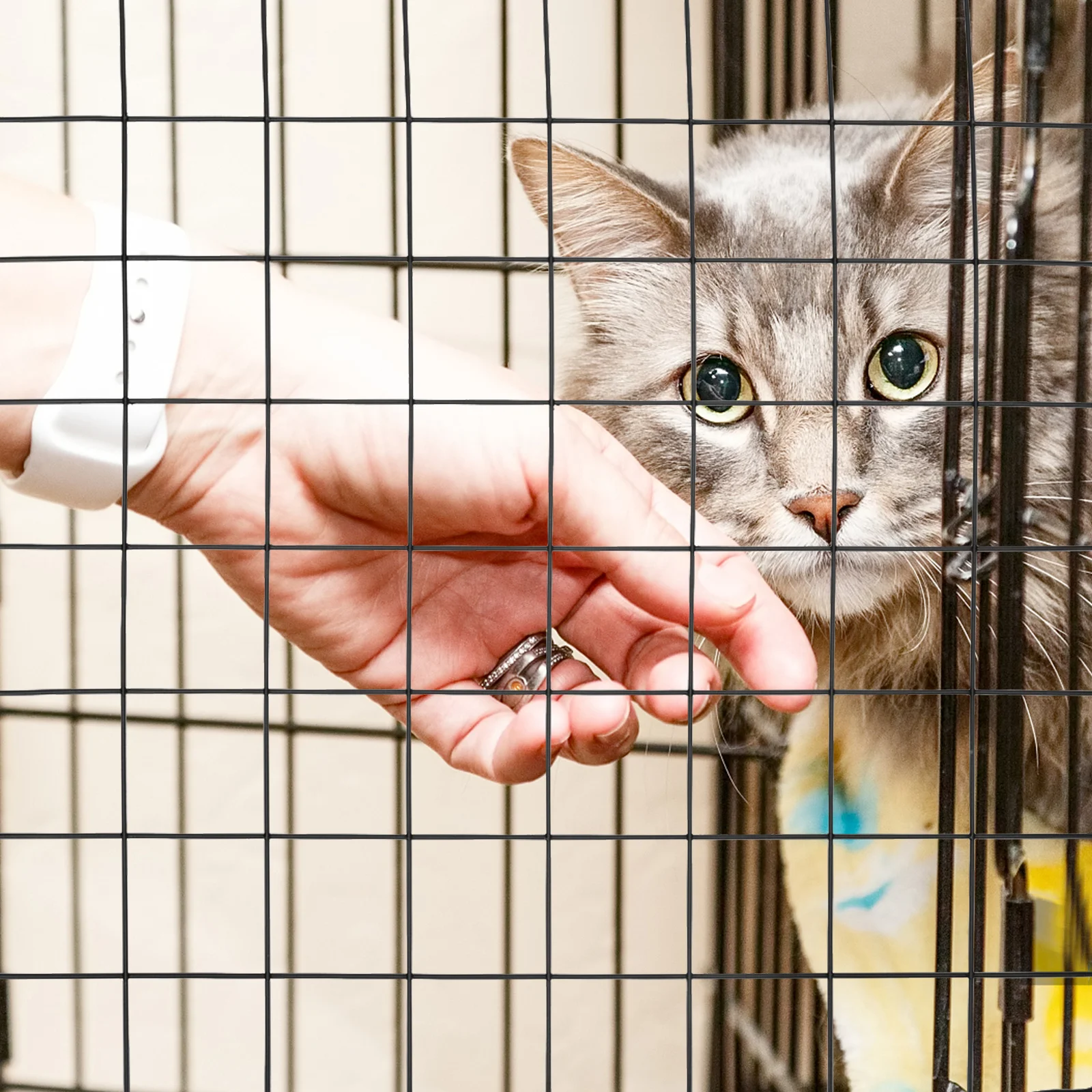 4 قطع من ملحقات أقفاص الحيوانات الأليفة، ألواح سياج حديدية سميكة سوداء لحظائر الكلاب، شبكة عزل للدجاج