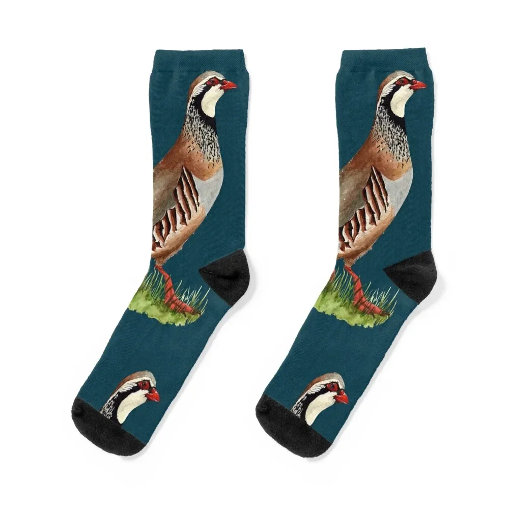 

RED LEGGED PARTRIDGE-Alectoris rufa Socks japanese fashion summer anti slip football halloween Men Socks Women's