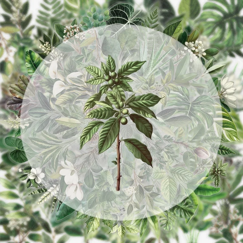 50 Vintage Green Leaf Stickers, Vibrant Sticker Decals, Multiple Styles Without Duplication, Suitable for Water Bottles, Laptops, Suitcases, Skateboards, Guitars, Party Decorations