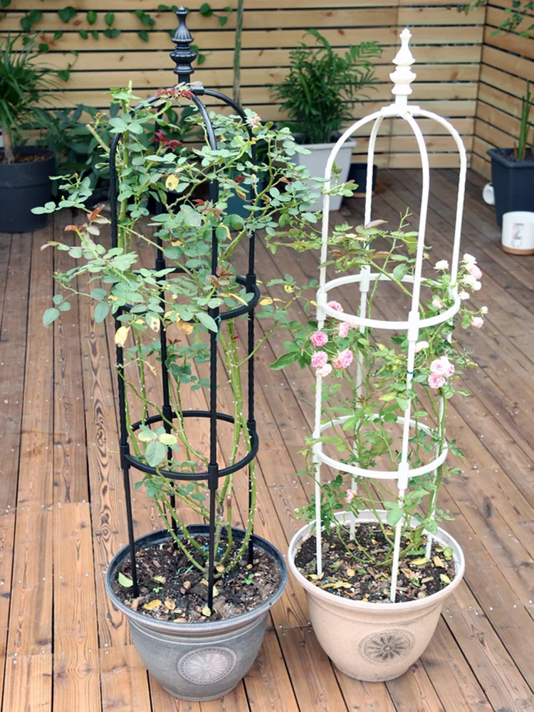 Metal Plant Climbing Frame, Outdoor Flower Stand, Trellis DIY, Tomato  Vegetable Vines Plants Potted Support, Home Garden Decor - AliExpress 15