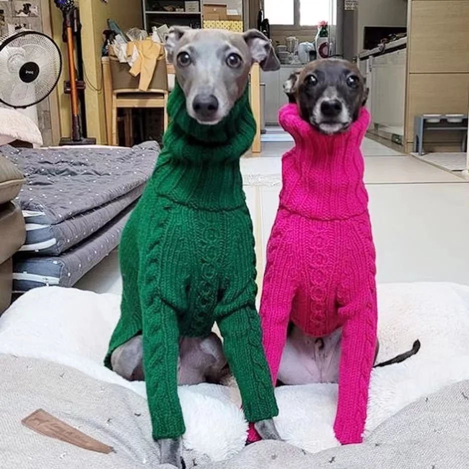 Winter Dog Sweater Italian Greyhound  Whippet Turtleneck  Twist  Warm Dog Coat Dog Clothing Dog\'s Knitted Sweater