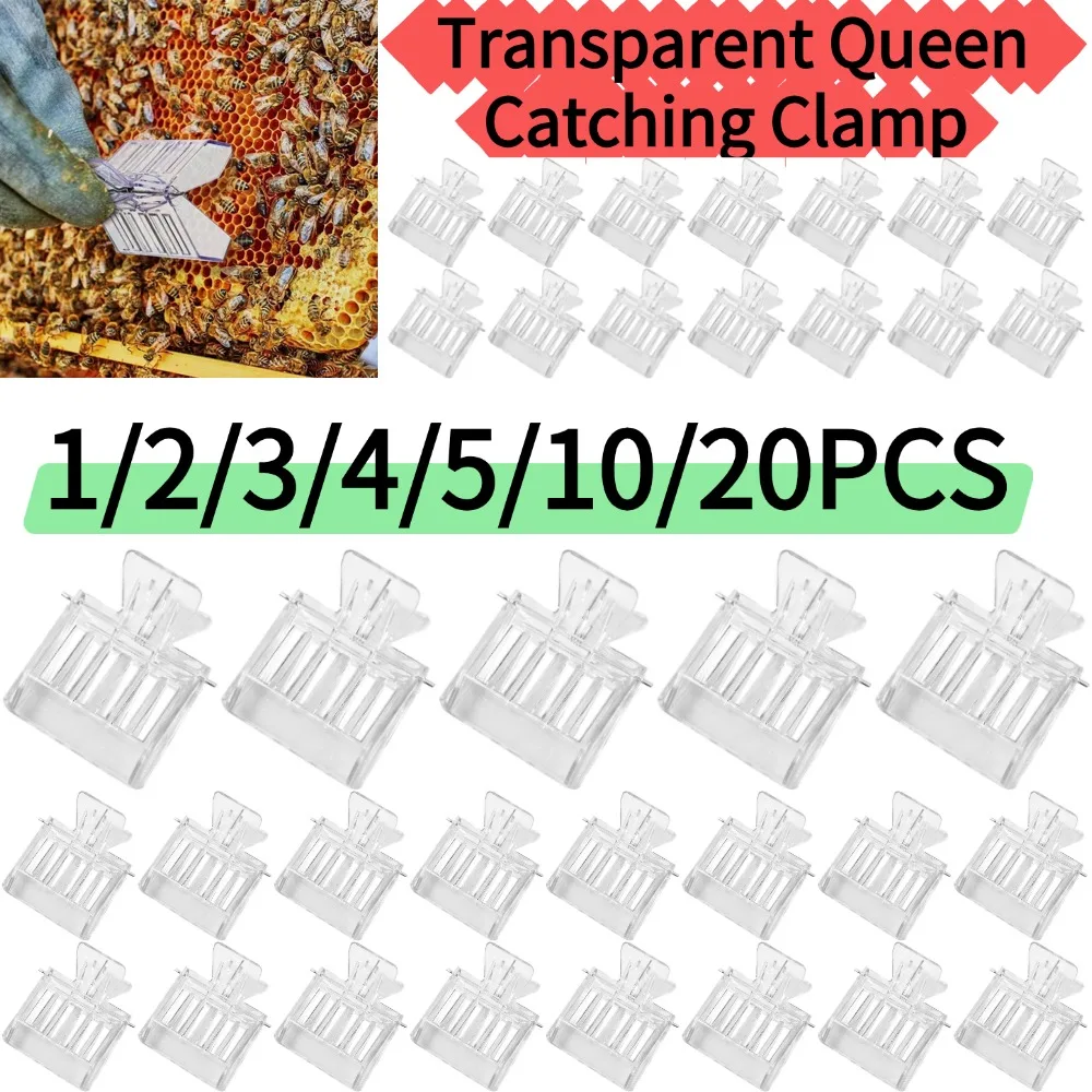 Plastic Book Clip Type Queen Cage Transparent Queen Catching Clamp Bee Queen Controller Beekeeping Tools 1/2/3/4/5/10/20PCS