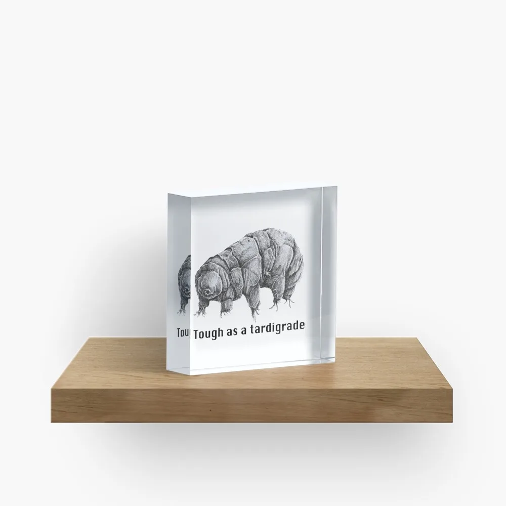 Tough As A Tardigrade  Acrylic Block Pad Art Fashionable Process Wedding Room Bedroom Print Clear Decor Funny Photos Stamping