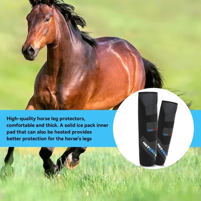 Stable-Use Horse Leg Band with Cold Warm Insert, Broad Contact and Secure Hook-and-Loop Closures for External 55KD
